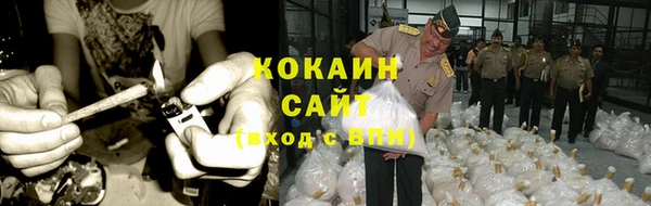 сатива Зеленодольск