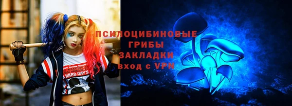 сатива Зеленодольск