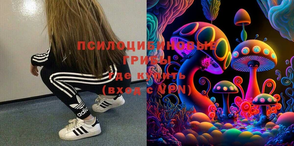 сатива Зеленодольск
