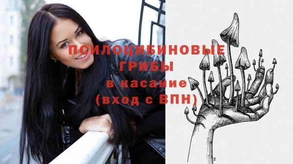 сатива Зеленодольск