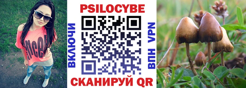 Псилоцибиновые грибы мицелий  Купить  Константиновск 